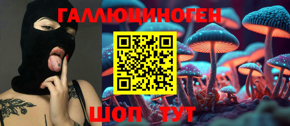 где купить наркоту  Галлюциногенные грибы Psilocybe  Вход с VPN  Псилоцибиновые грибы MAGIC MUSHROOMS  Тосно 