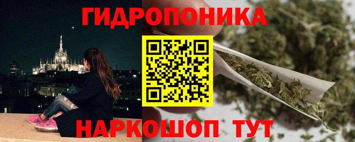 Каннабис Ganja  МАРИХУАНА тримм  Шишки марихуана SATIVA & INDICA  Конопля VHQ  Вход с VPN  Тосно 